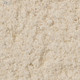 African%20Ivory%20MR1.jpg.jpeg African%20Ivory%20MR1.jpg.jpeg